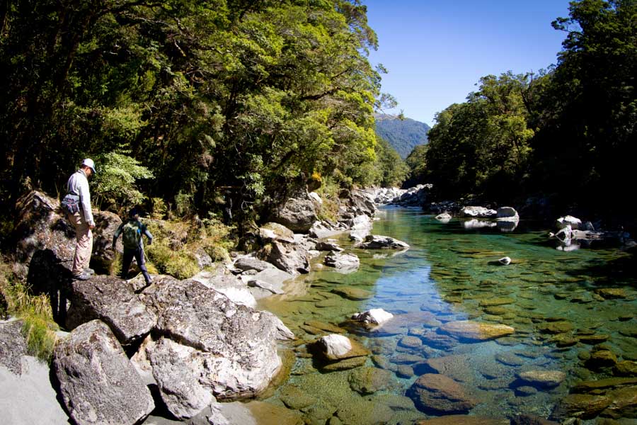spotting trout in nz spotting trout in nz