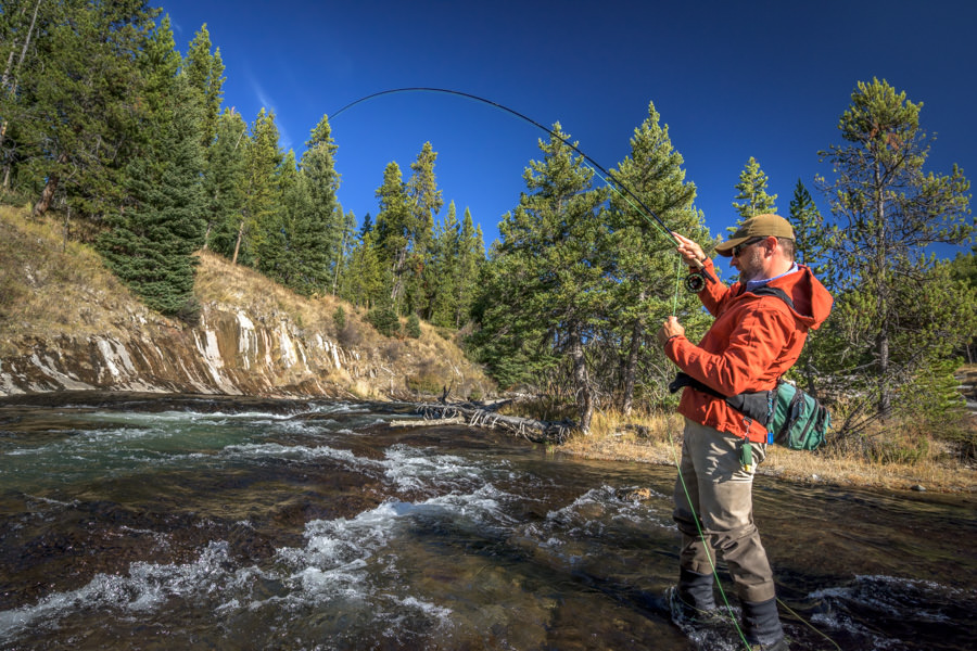 what to fish in Yellowstone National Park how to catch fish