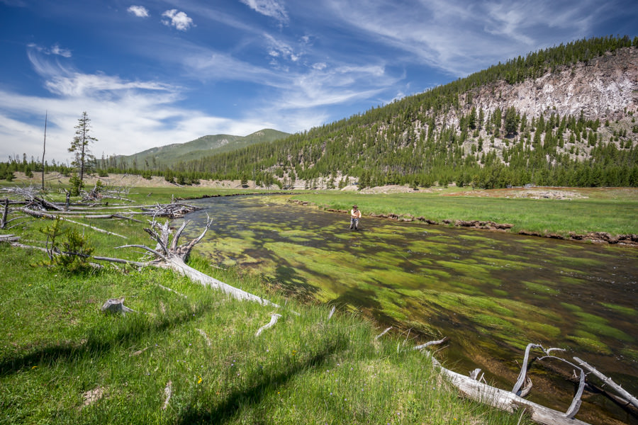 Best summer fishing in Yellowstone park Yellowstone Park fly fishing guide