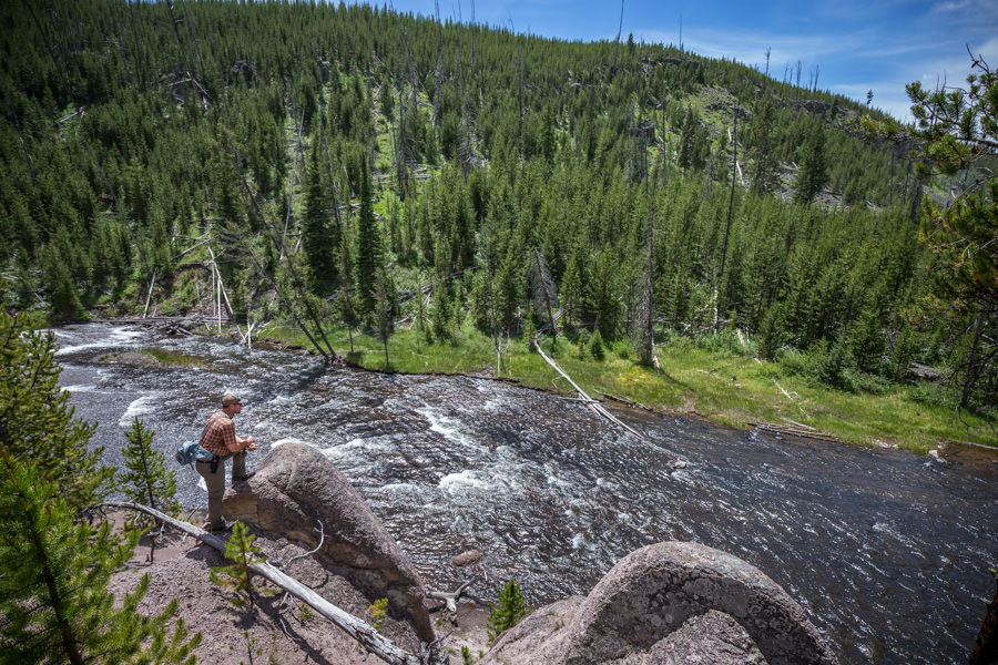 looking for fish on the gibbon river going fishing in Yellowstone Park