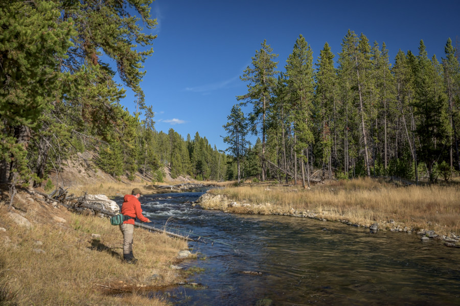 guided fishing in Yellowstone best fishing guide in Yellowstone Park