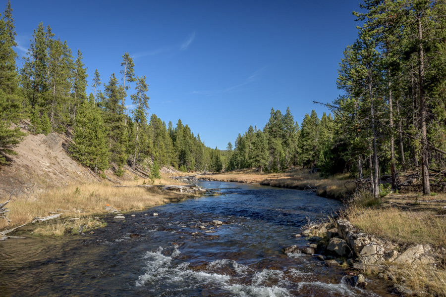 fishing small streams in Yellowstone Park Fishing the Gibbon River in Yellowstone Park