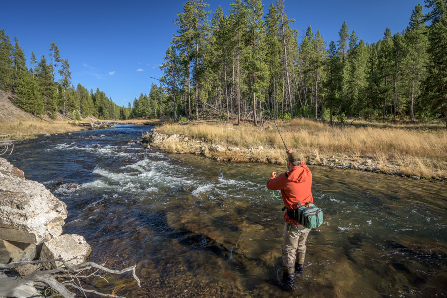 Gibbon River Yellowstone National Park Yellowstone National Park fly fishing guides