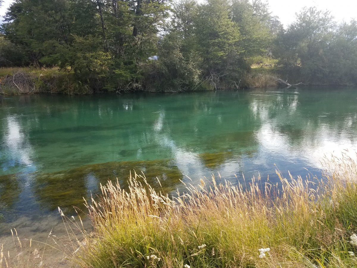 A photograph of the Cochrane River