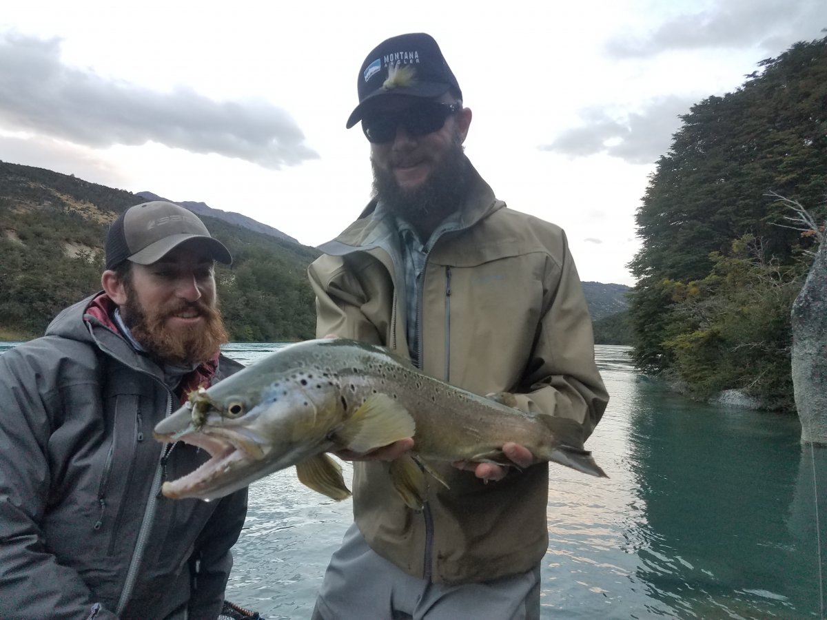 A nice brown trout caught on the Baker A nice brown trout caught on the Baker