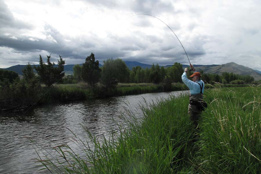 Montana Angler Fishing Destinations