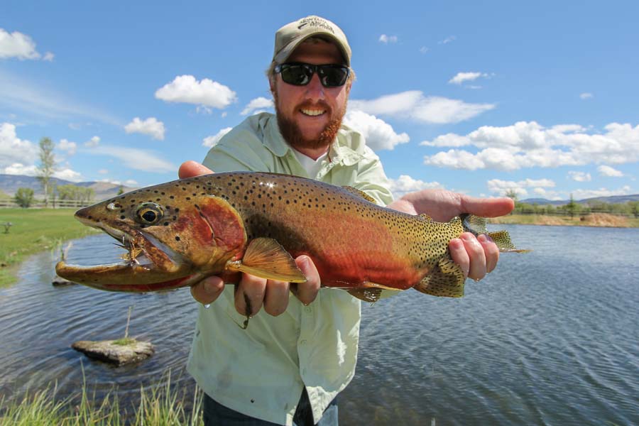 Montana Fly Fishing, Montana Angler