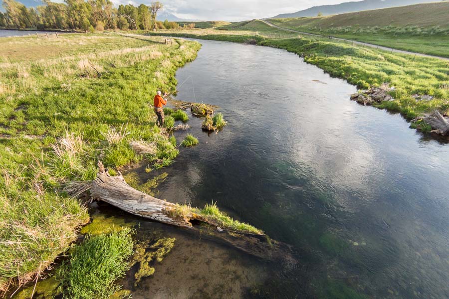 Fly Fishing Montana Spring Creeks