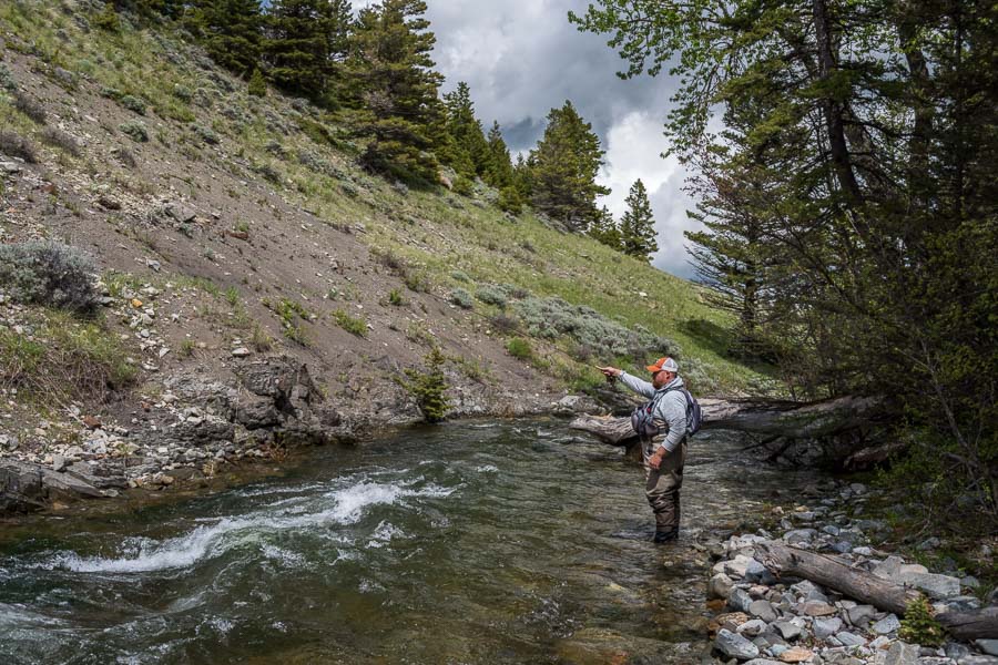 Montana Fly Fishing