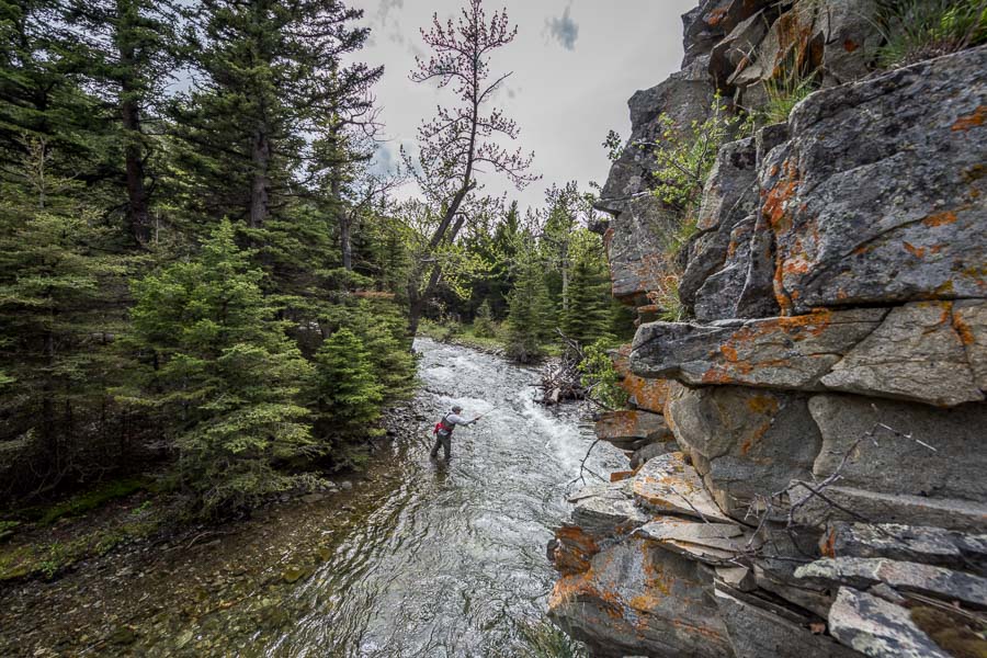 Montana Wade Fishing Trips