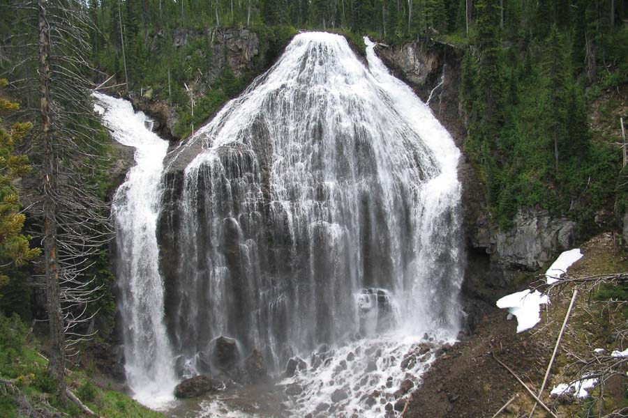 Yellowstone Park Fly Fishing Guides