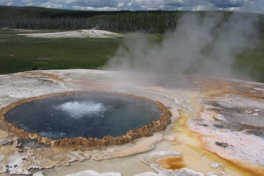 Fly Fishing in Yellowstone Park