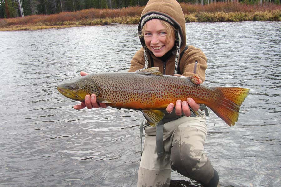 Guided FlyFishing Trips in Yellowstone National Park