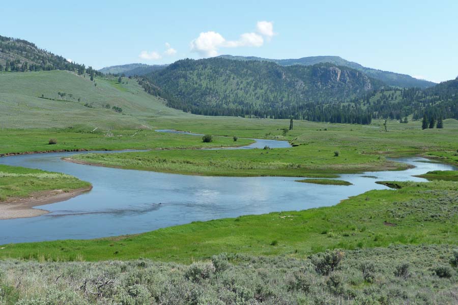 Montana Fly Fishing Guides