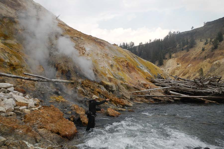 Guided FlyFishing Trips in Yellowstone National Park