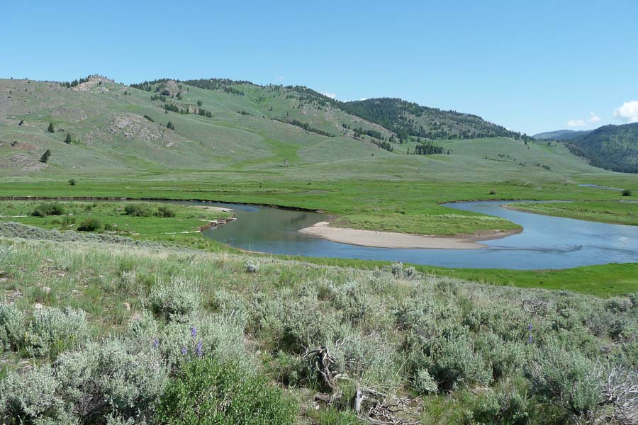 Yellowstone Park Fly Fishing