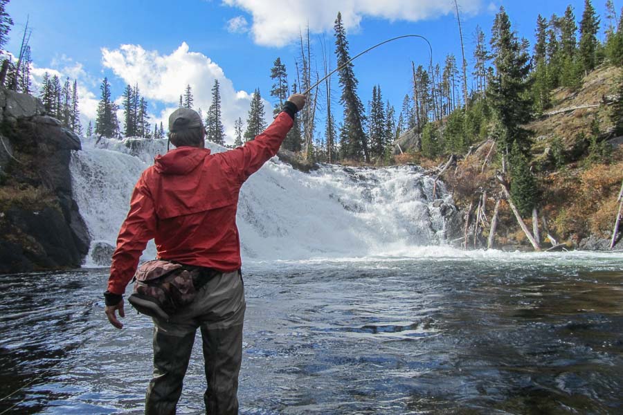 Yellowstone Park Fly Fishing Guides