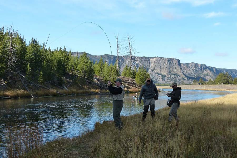 Yellowstone National Park Fishing Trips Montana Angler
