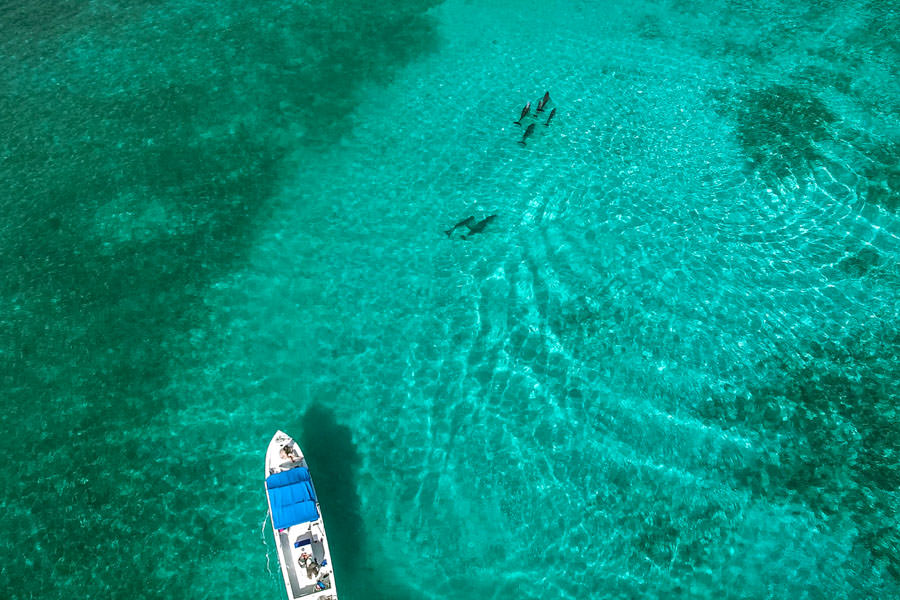 Turneffe Flats Lodge Belize