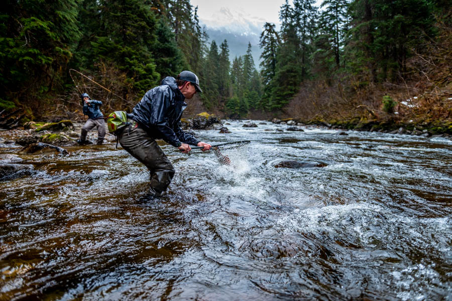 Alaska steelhead in the net Persistence paid off and Ann got one to the net thank's to Greg's help
