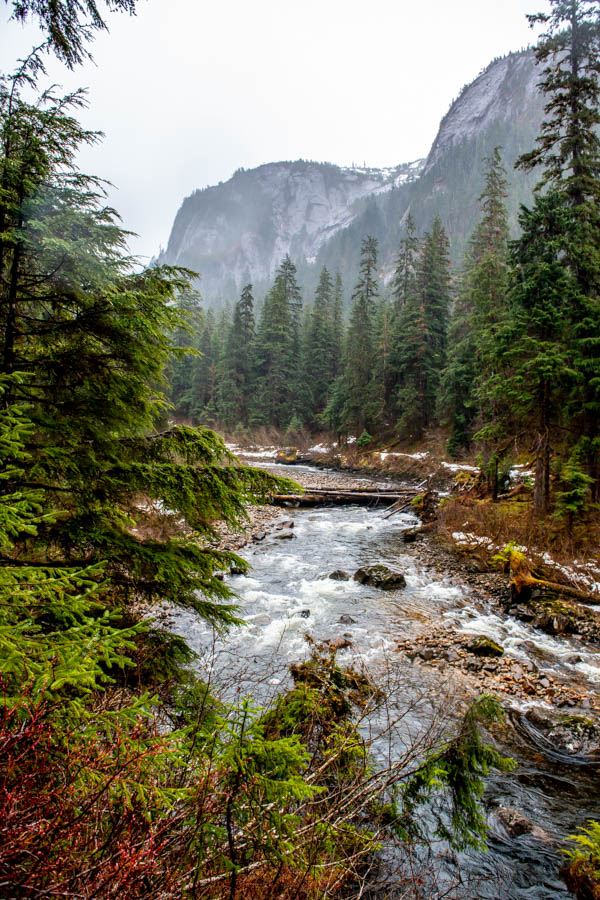 The Tongass is filled with small, clear streams ideal for sight fishing. Many of these small systems have yet to be explored for wild steelhead which run in April and May
