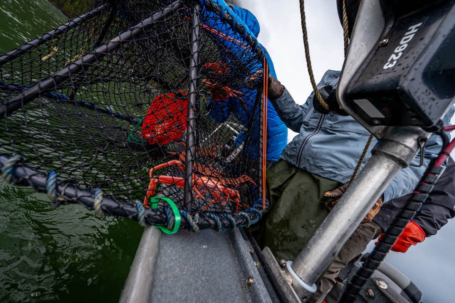 crab pots in alaska While chasing steelhead is the main adventure, a week on the Viaggio a wealth of other experiences along the way. Pulling crab pots from the seafood laden waters. Nothing beats crab crakes fresh from the ocean!