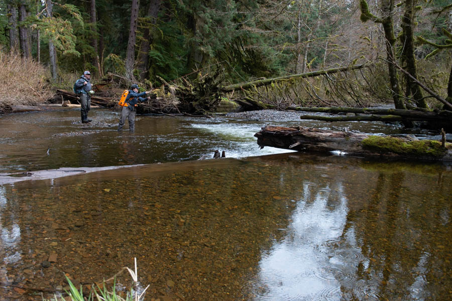 fishing small streams in AK We tried nymphing several fish without success. Although swinging flies was difficult on these small waters we eventually got some to eat while swinging medium sized intruder style flies past some fish to get hookups.