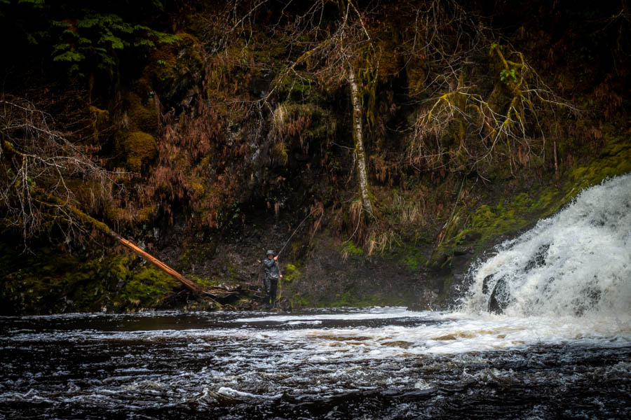 Bill Buchbauer steelhead guide Billy got in on the action as well. Always nice when the guides get to play a bit