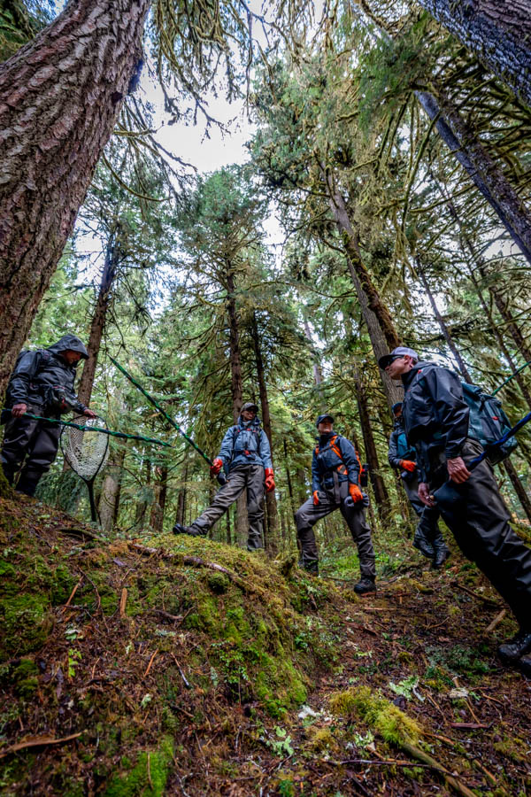 hiking in the Tongass Our team back at it. When hiking through the rainforest we break rods down between runs and then slide rod socks over them to prevent them from tangling in the understory