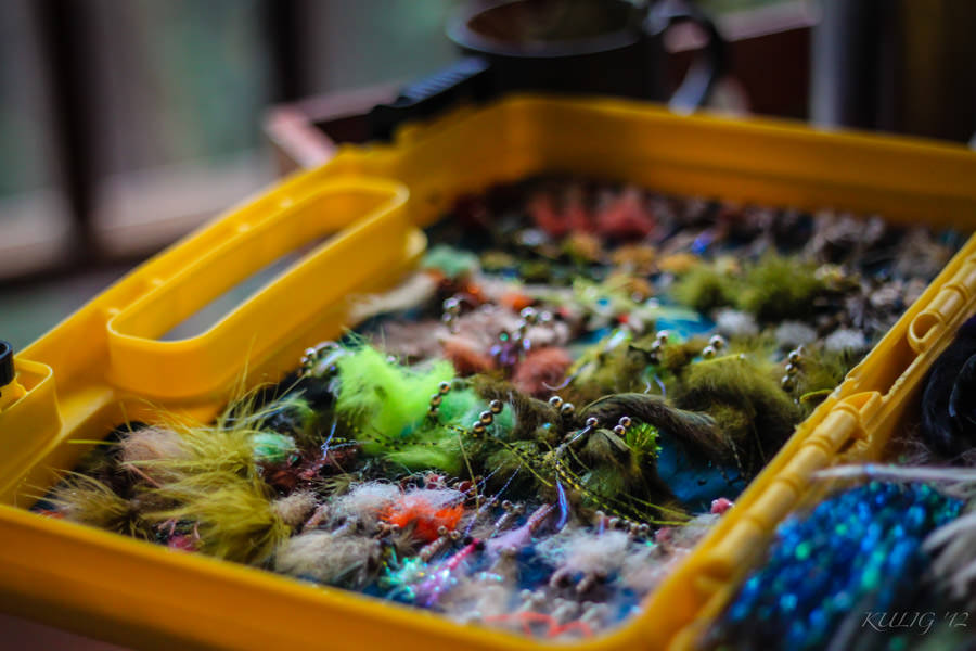 Fly fishing near Punta Gorda