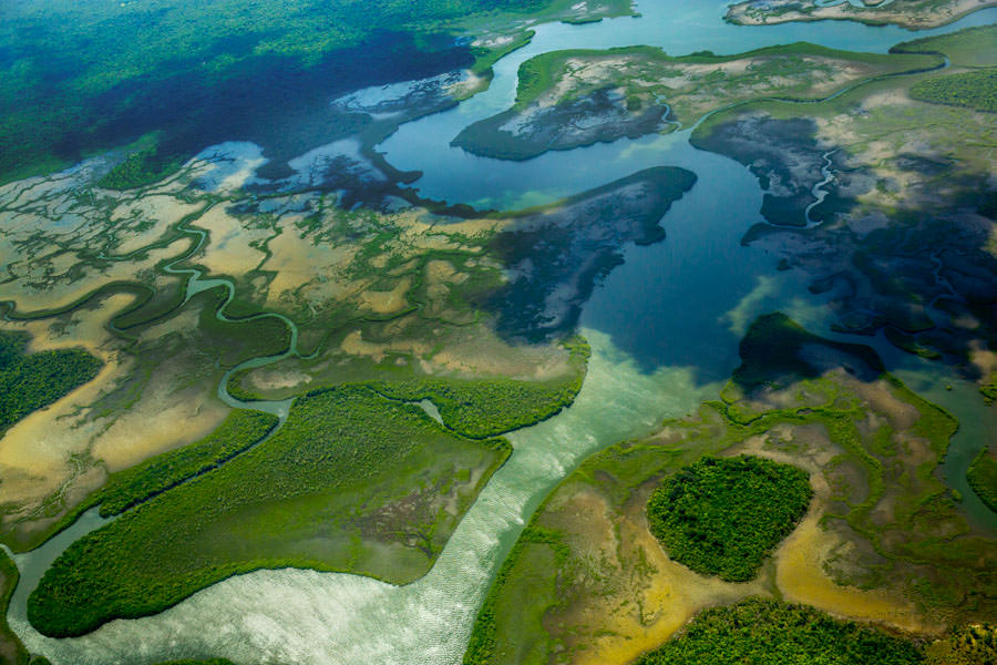 Fly fishing for permit in Port of Honduras