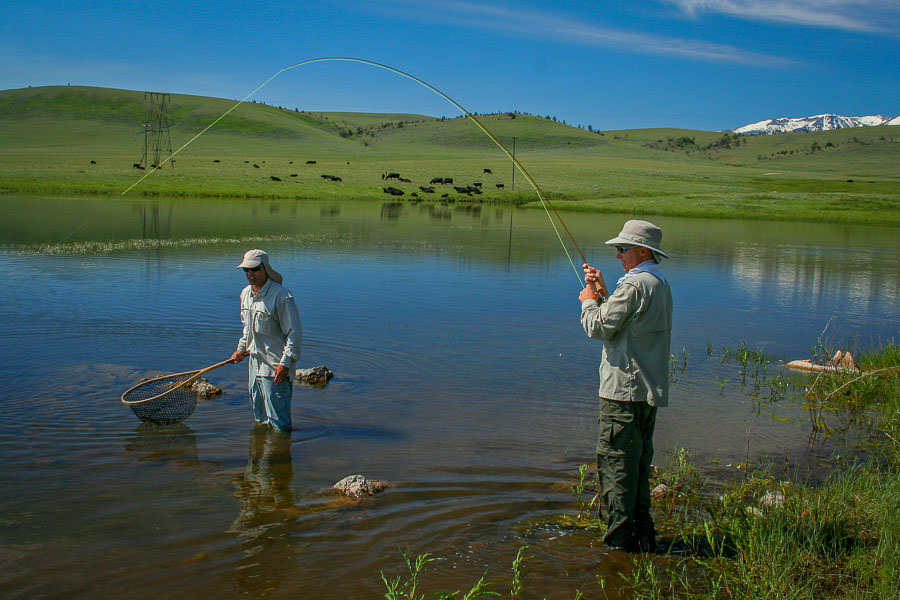 Montana Trophy Trout