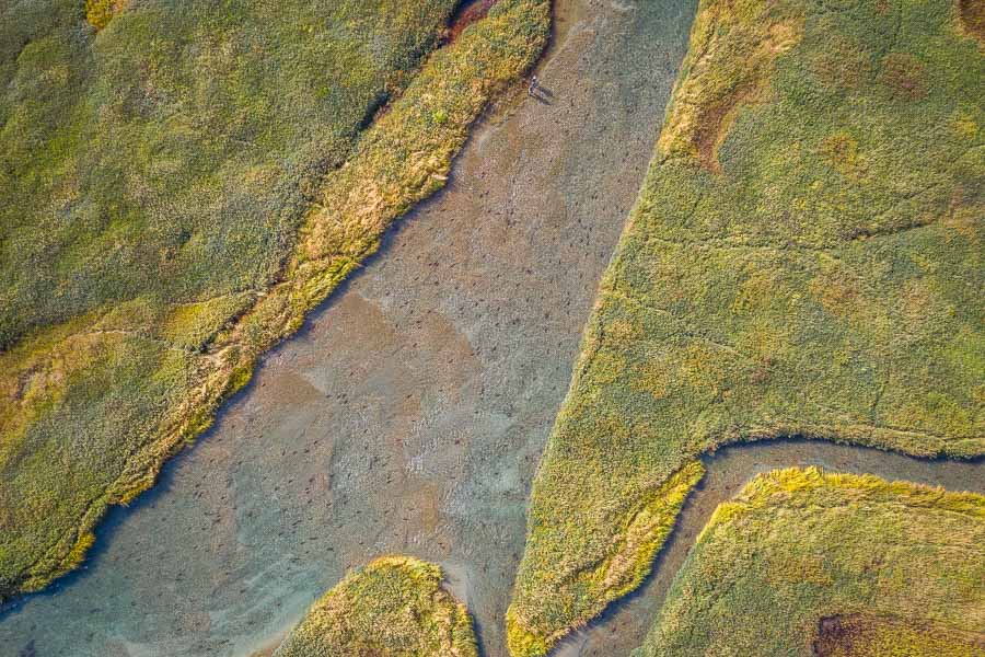 The Kvichak is a huge river and often we fish from jet boats, but we also enjoyed walking up some side channels to sight cast to big rainbows following sockeye salmon onto their spawning redds