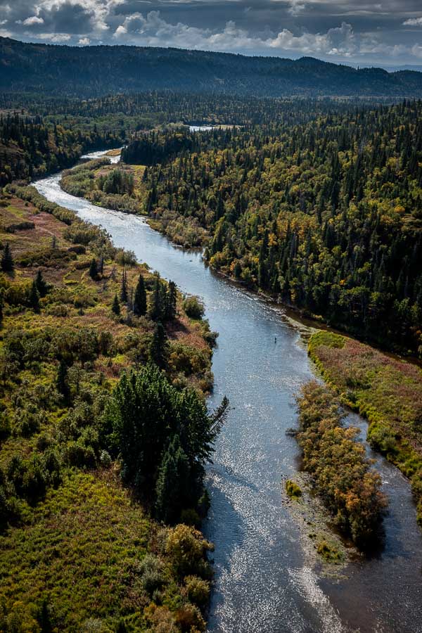 The Copper River is the quintessential Alaskan rainbow trout river. It is just big enough to navigate with raft or jet boat, yet small enough to easily wade. It also holds an incredible population of large, hard fighting rainbow trout.