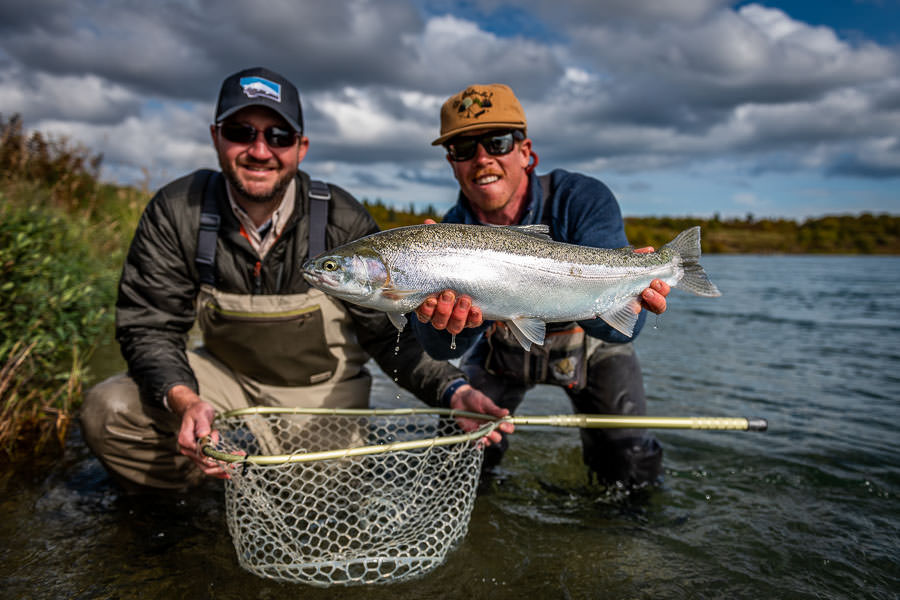 Big rainbows drop out of the lake when salmon are dropping eggs. These fresh run lake rainbows are dime bright and amazingly strong