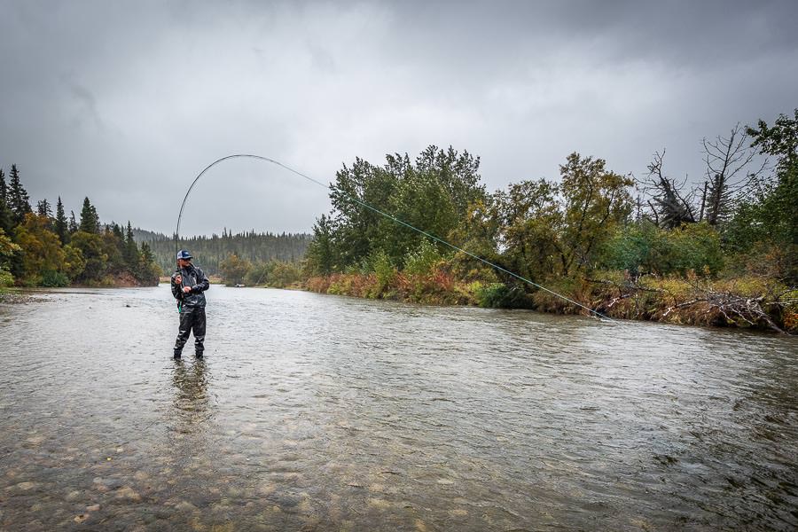 Nick opted for the trout spey rod and had equal success swinging flies