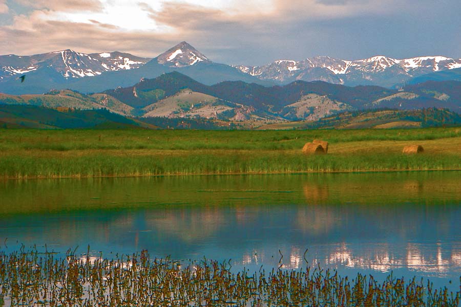 Montana Angler Half Day Trips
