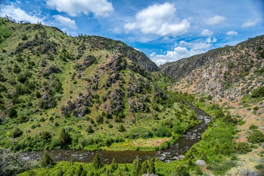 Montana Angler Wade Trips