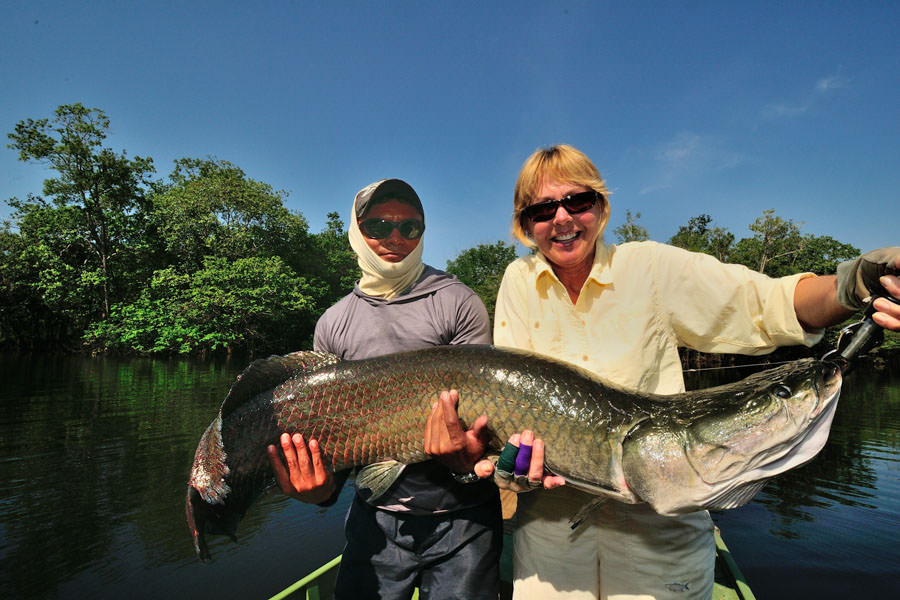 fly fishing for arapaima