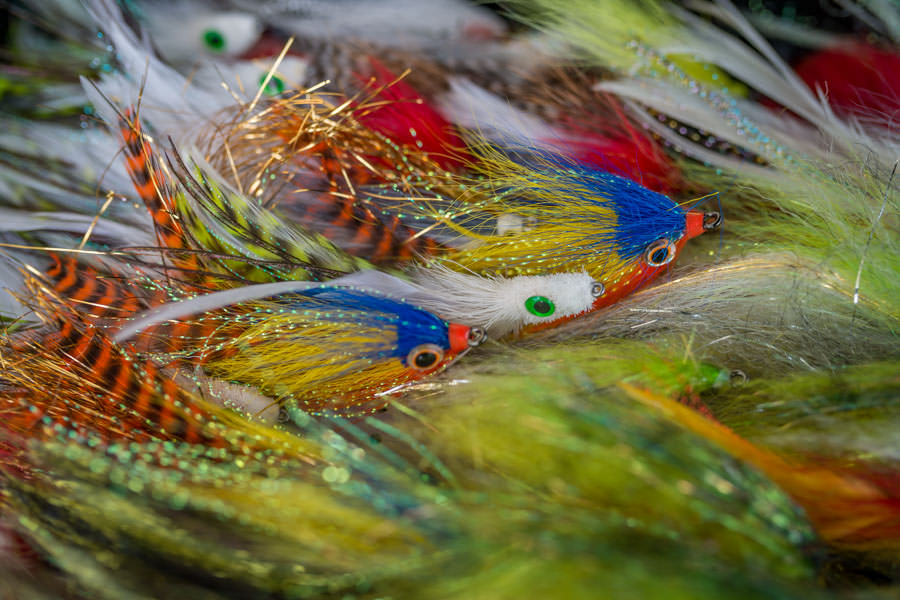 fly selection for peacock bass