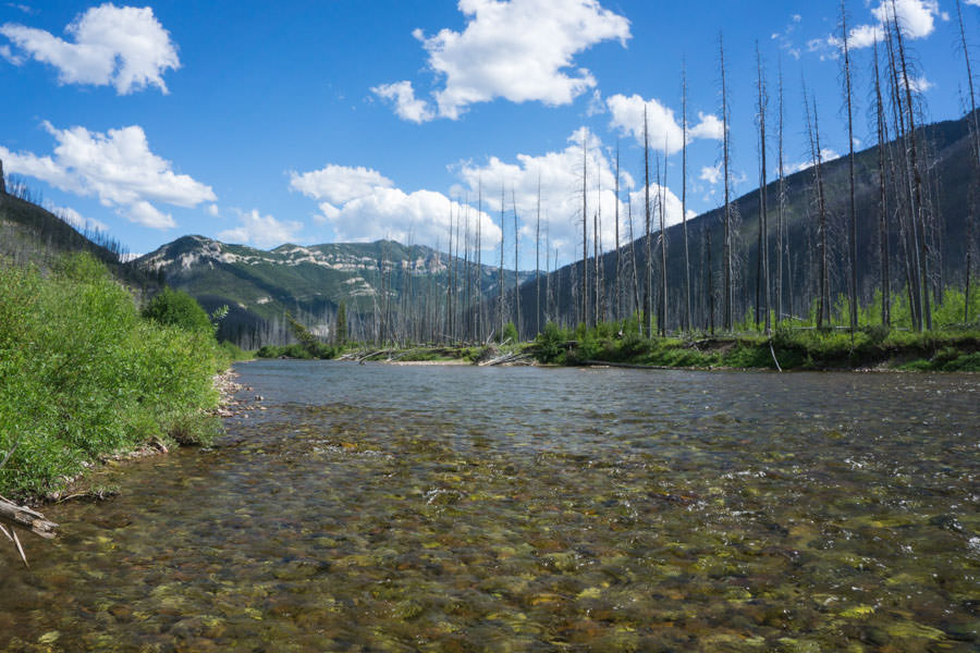 Bob Marshall Wilderness Pack Trip