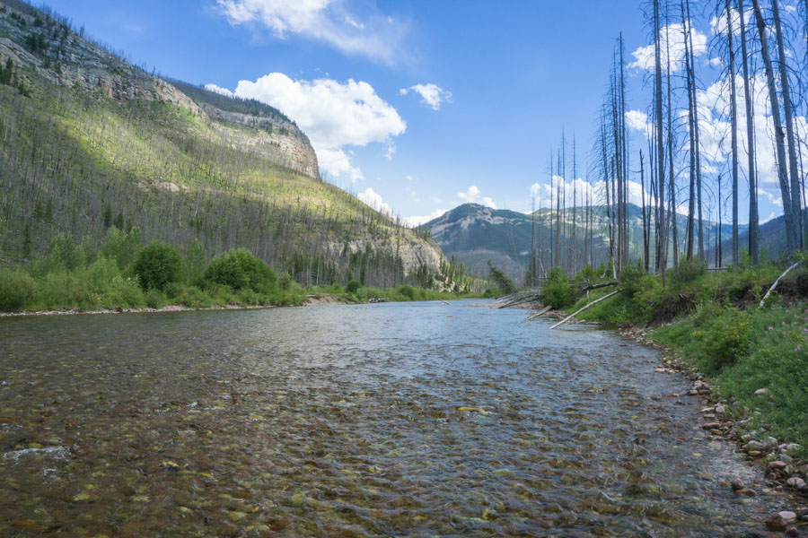 Wilderness Fly Fishing