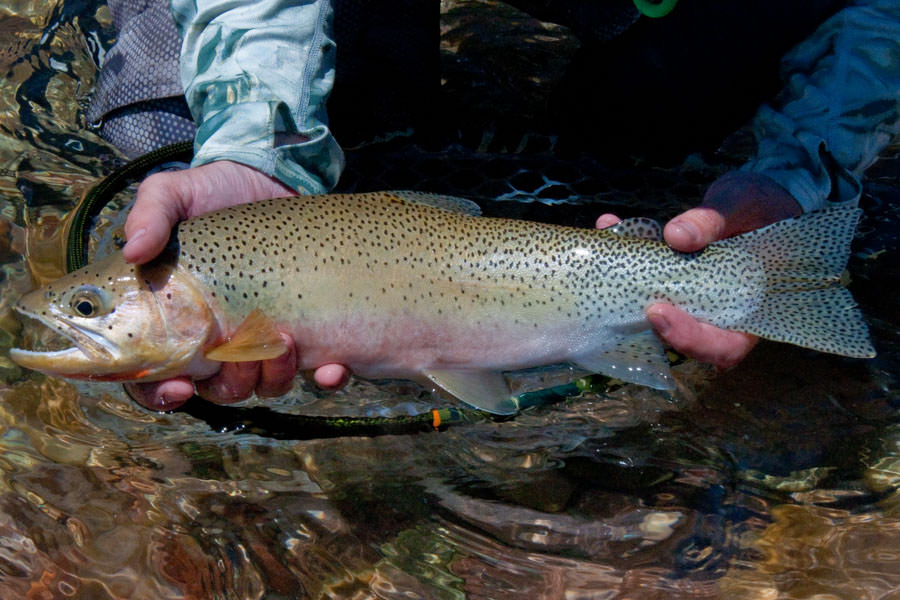 Bob Marshall Wilderness float trips