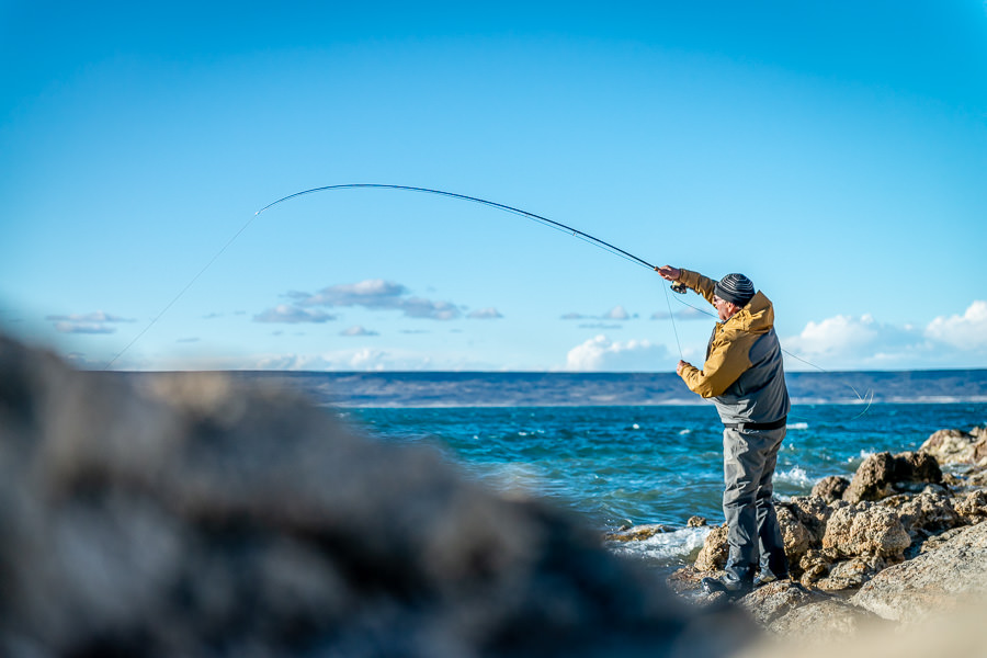 "...this was one of the coolest spots to see cruising fish and when it was good it was silly fun."