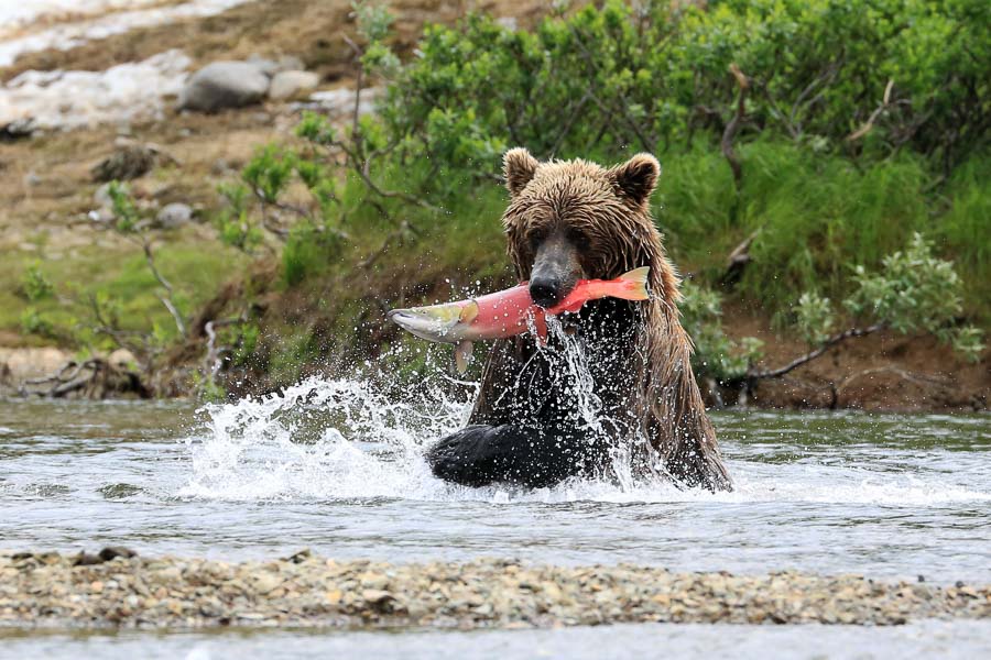 Montana Angler Fly Fishing Travel