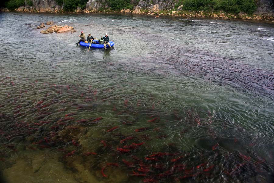 Intricate Bay Lodge Fly Fishing Trips