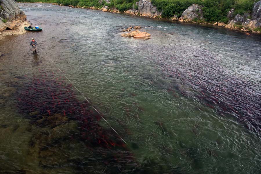 Montana Angler Hosted Trips
