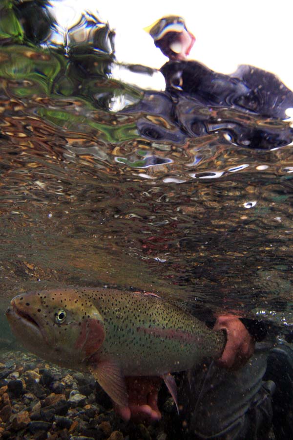 Fly Fishing in Alaska