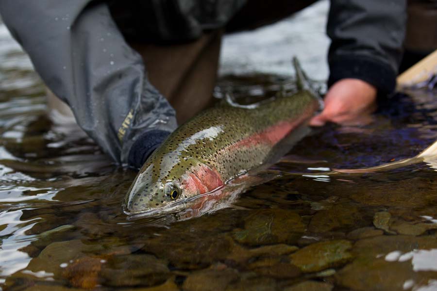 Montana Angler Fly Fishing Travel