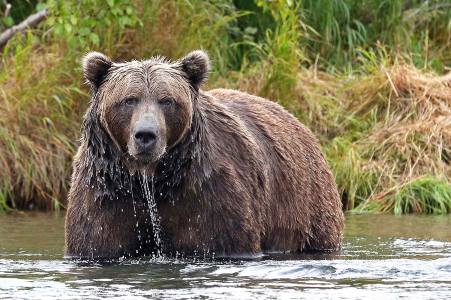 Montana Angler Fly Fishing Travel